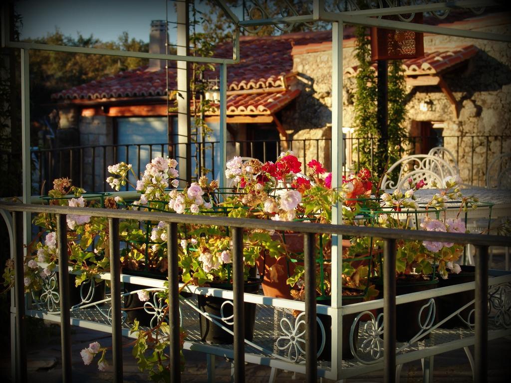 Гостьовий будинок Almazara De San Pedro (Adults Only) Eljas Екстер'єр фото