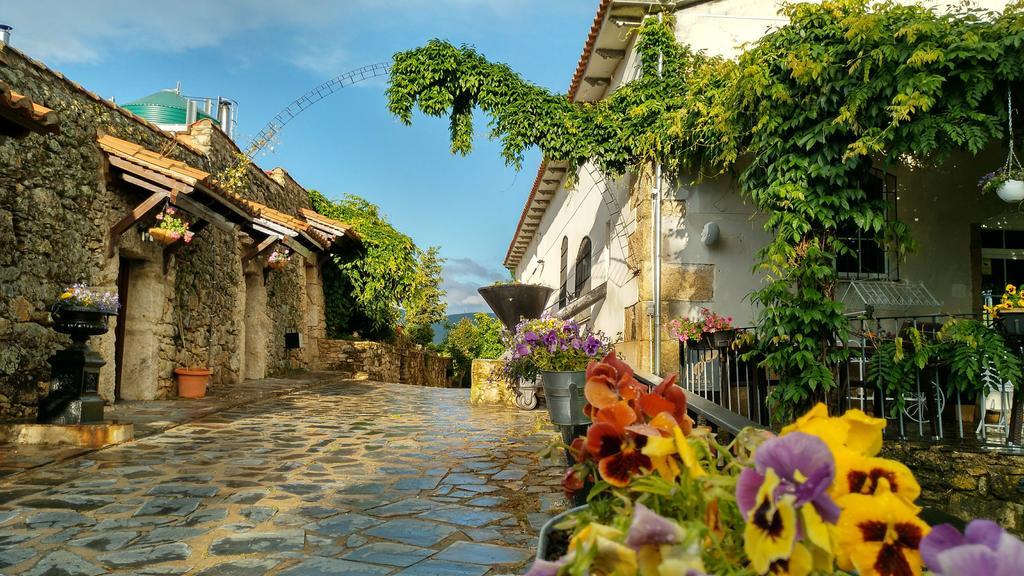 Гостьовий будинок Almazara De San Pedro (Adults Only) Eljas Екстер'єр фото